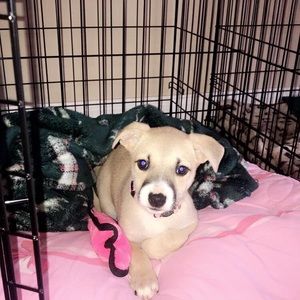 Meet your Posher, Ava